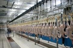 Gıdaya Uygun Nsf Onaylı Endüstriyel Temizleme HR3000 Çevreye Uygun  25lt